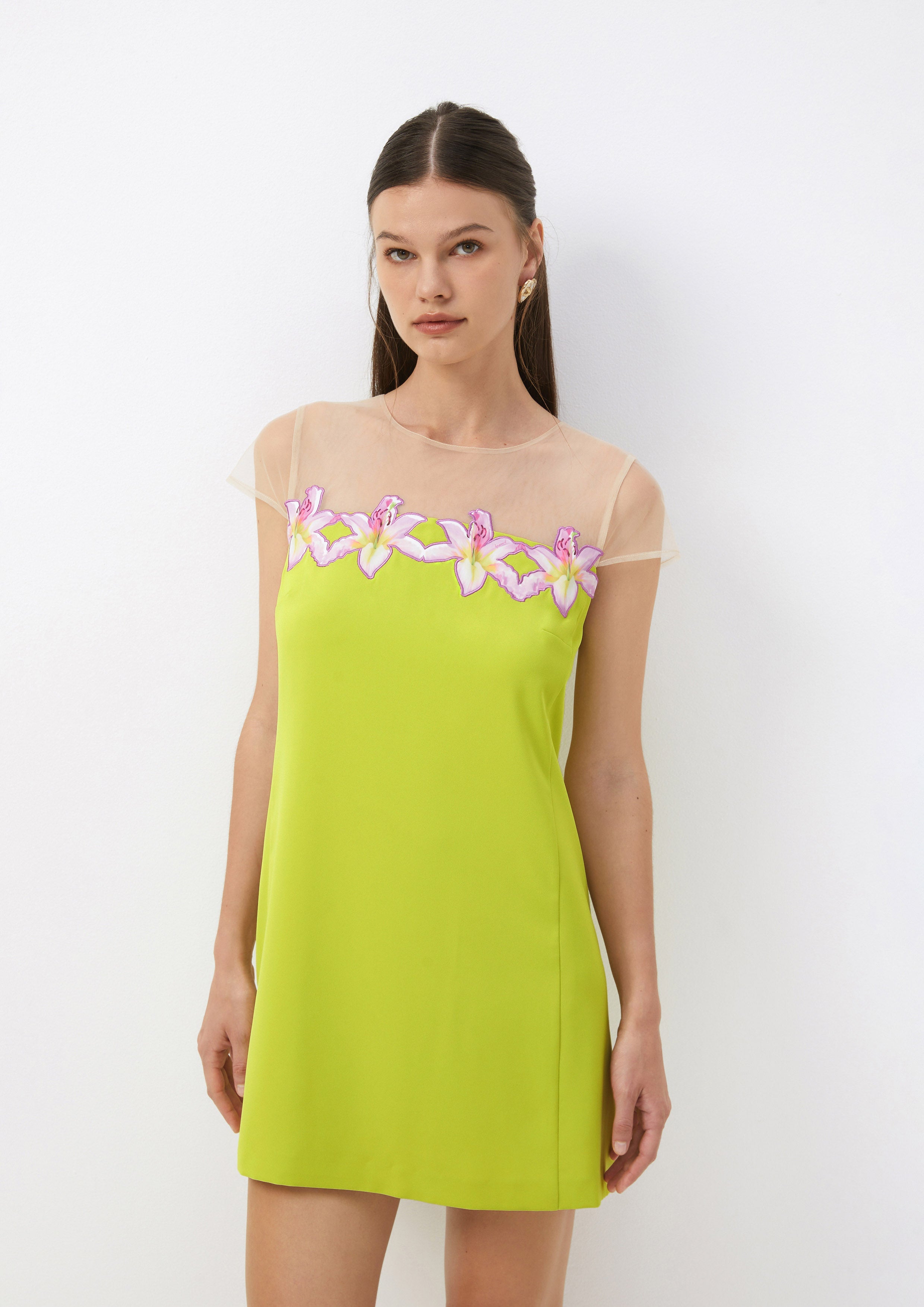 Mini Dress with Sheer Yoke and Floral Appliqué Living Life In Full Bloom