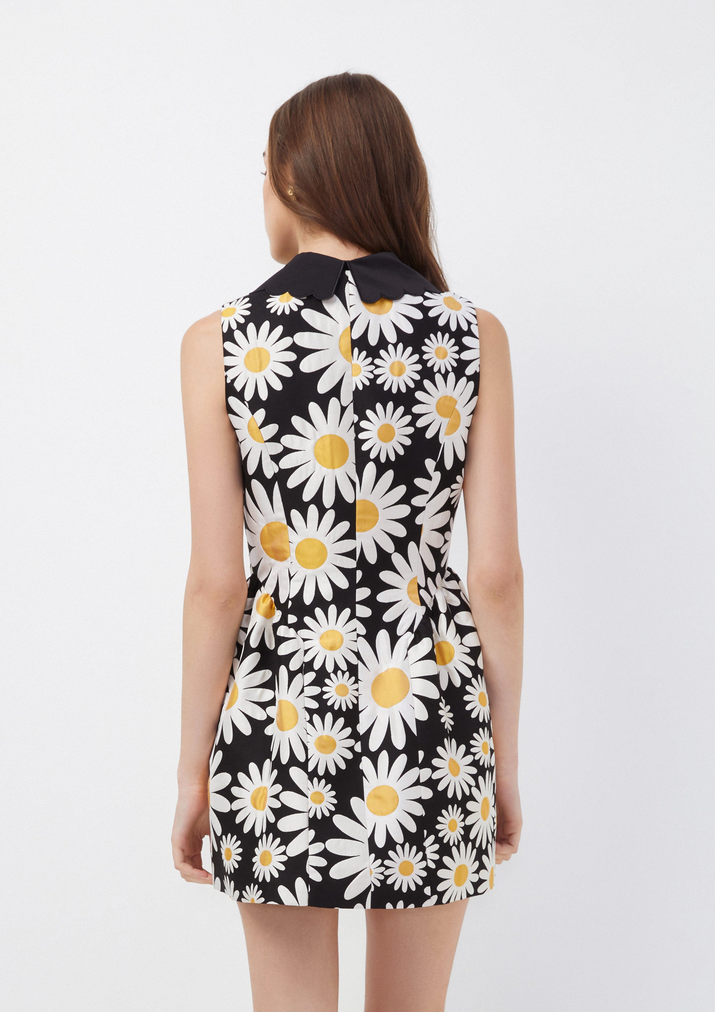 Sleeveless Daisy Print Mini Dress with Scalloped Collar Oopsie Daisy