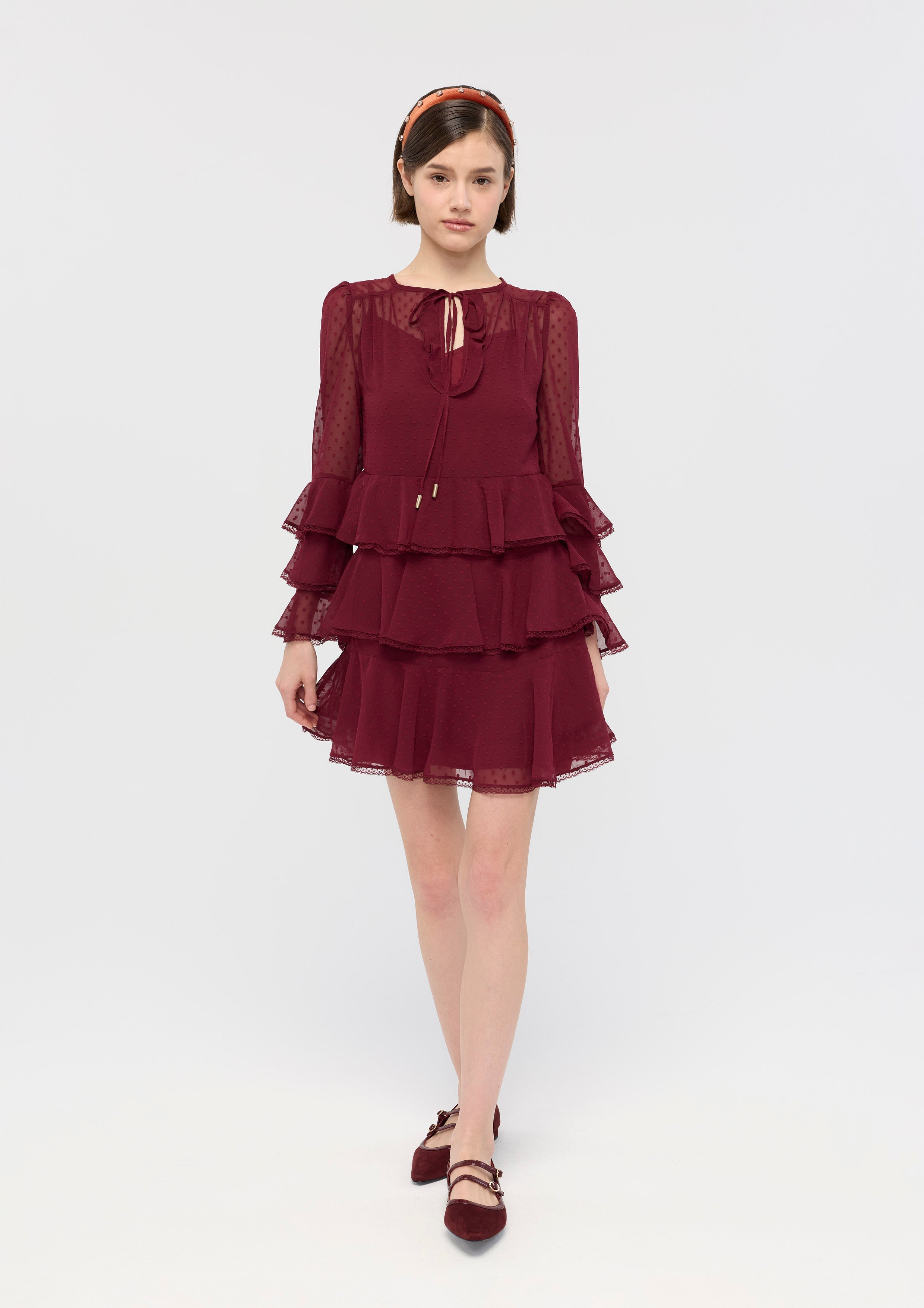 Sheer Ruffle Long Sleeve Mini Dress Garden Poetry
