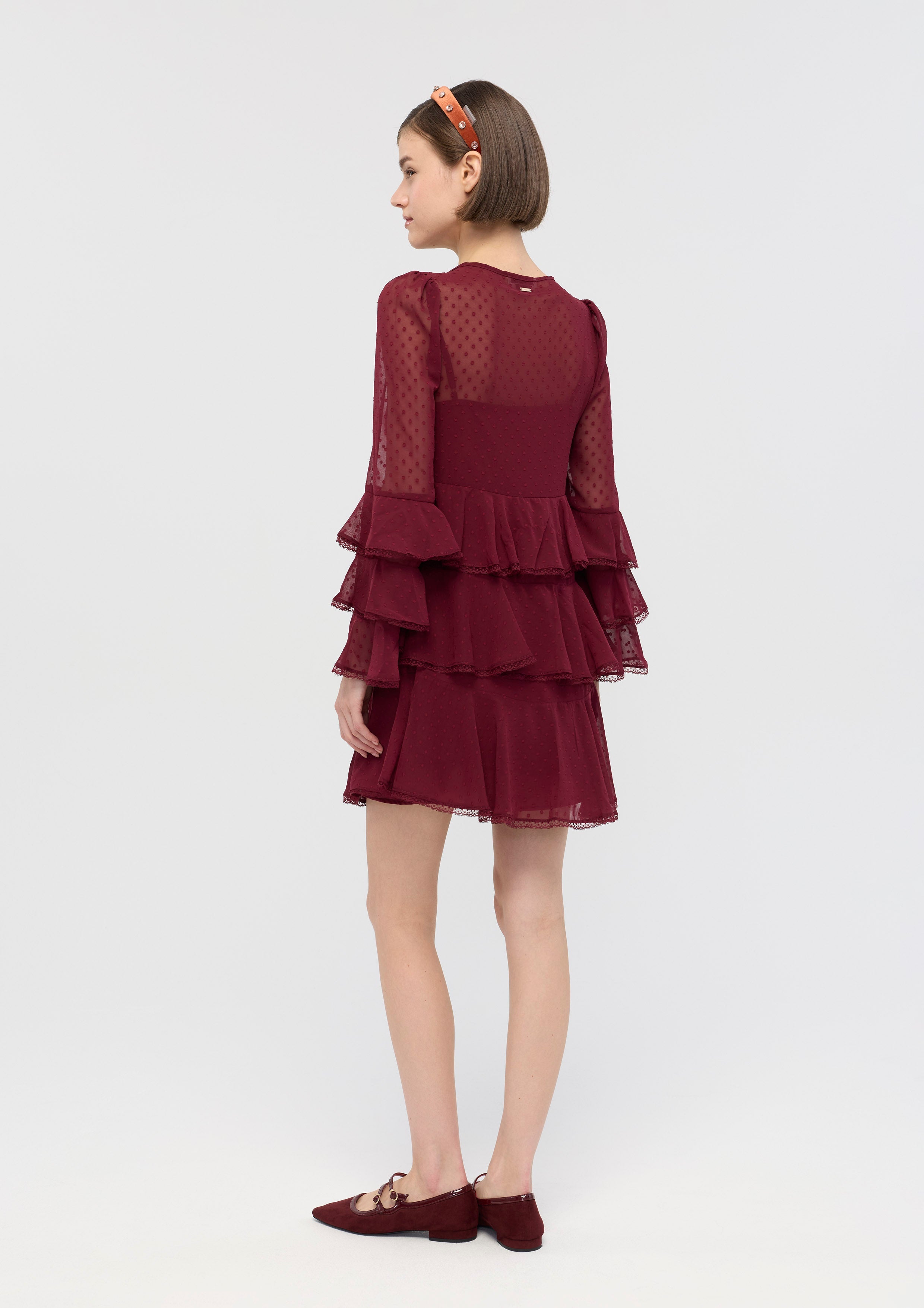 Sheer Ruffle Long Sleeve Mini Dress Garden Poetry