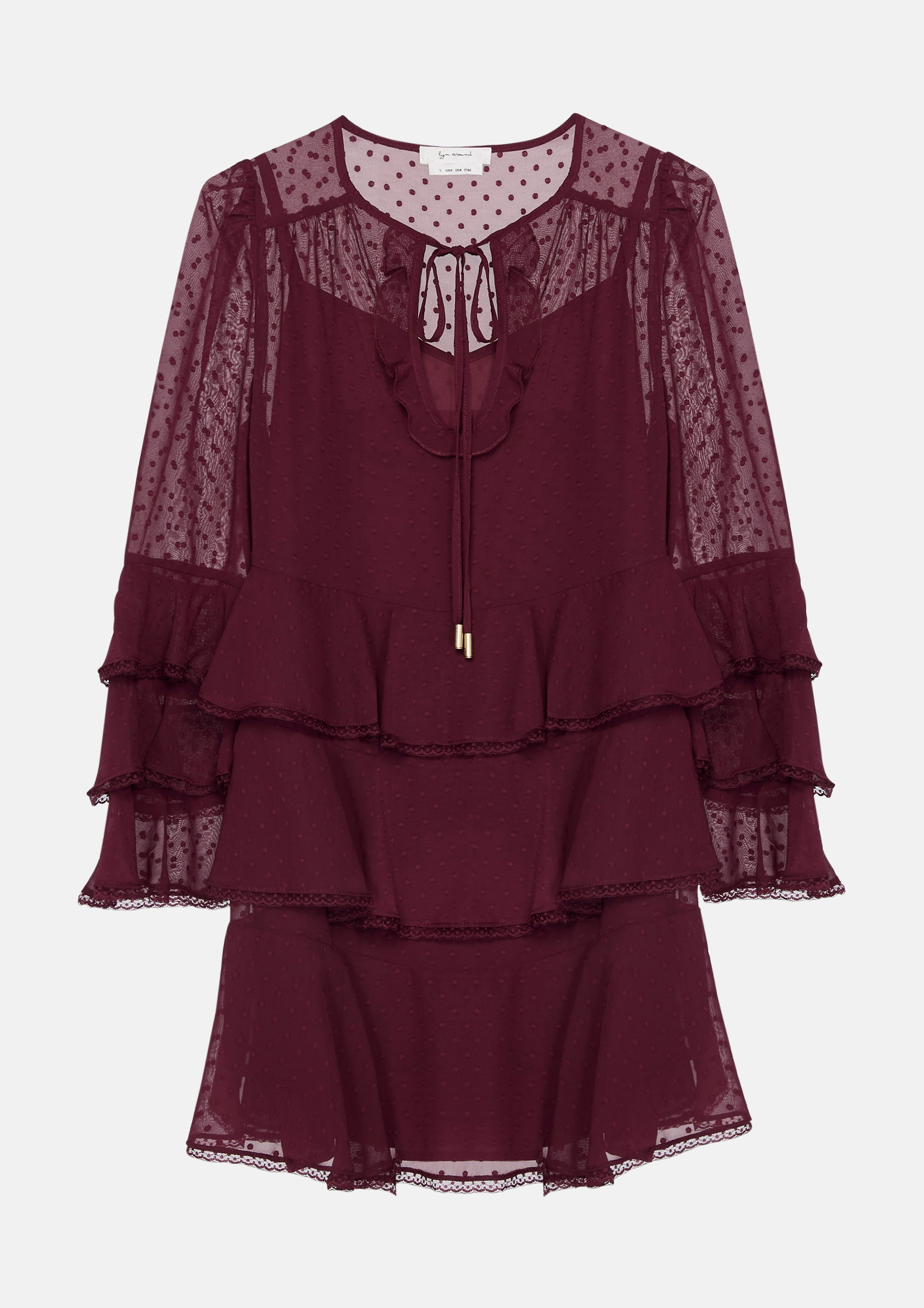 Sheer Ruffle Long Sleeve Mini Dress Garden Poetry