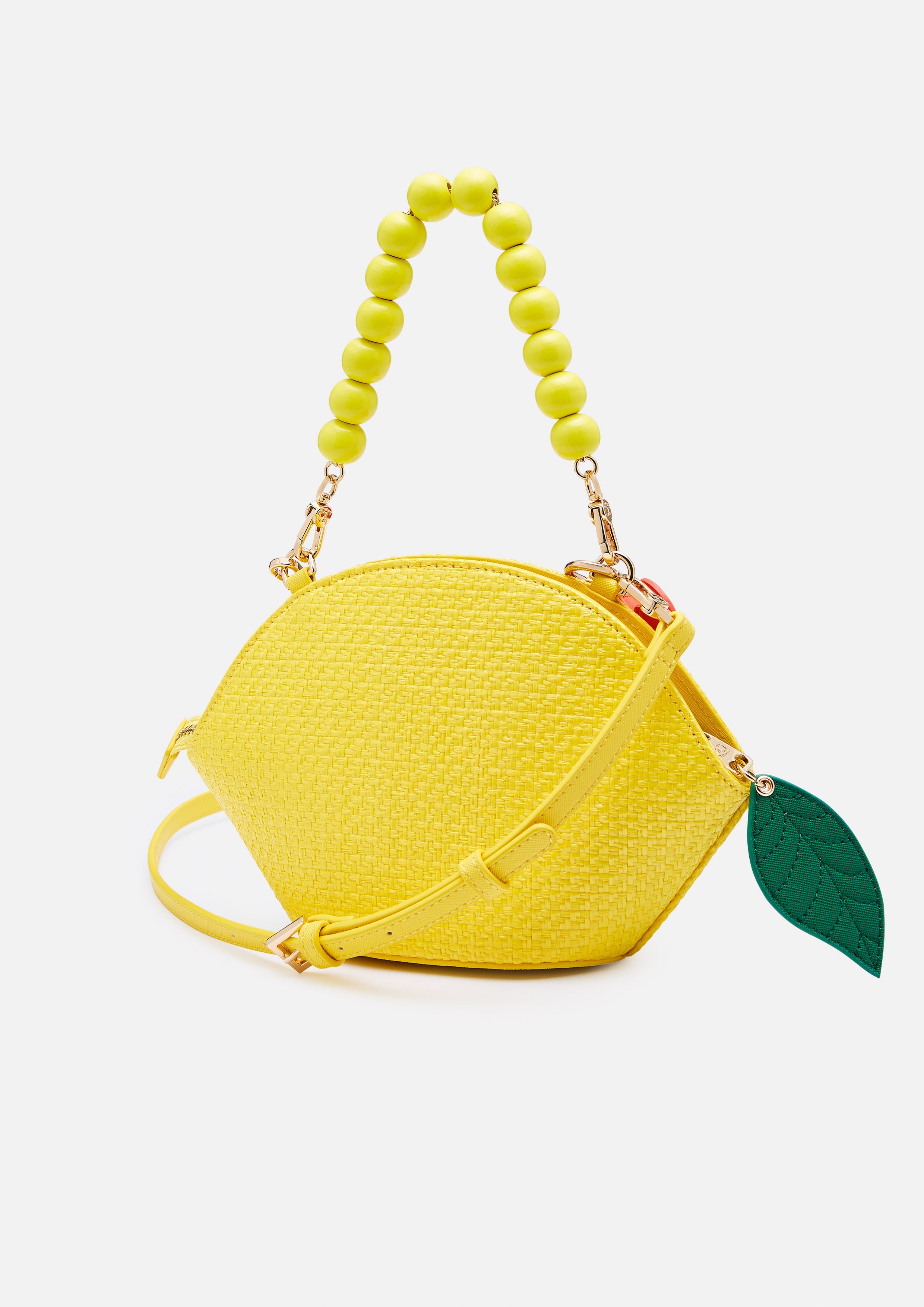 Leomonetta Handbag