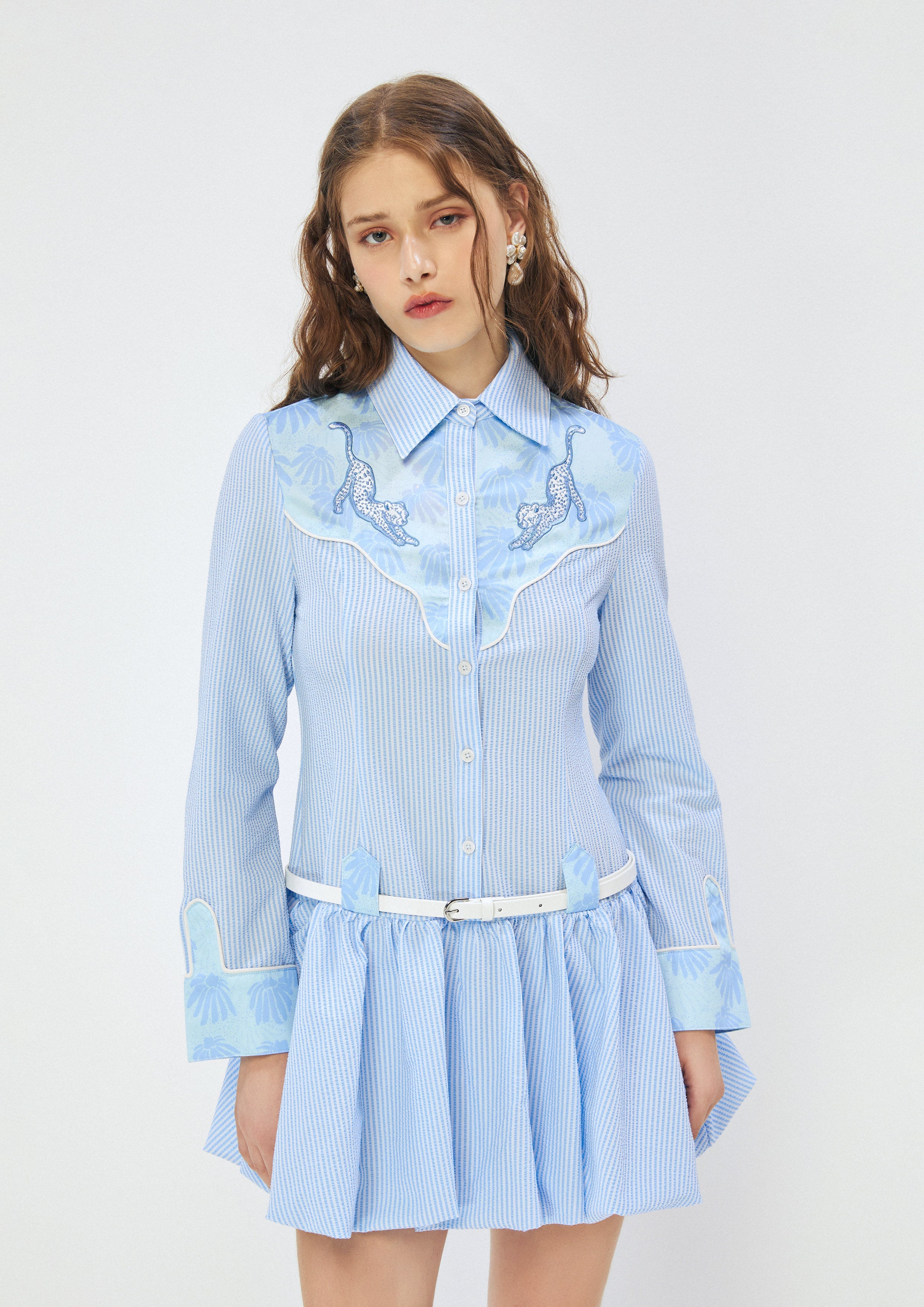 Striped Embroidered Shirt Dress Roar of Serengeti