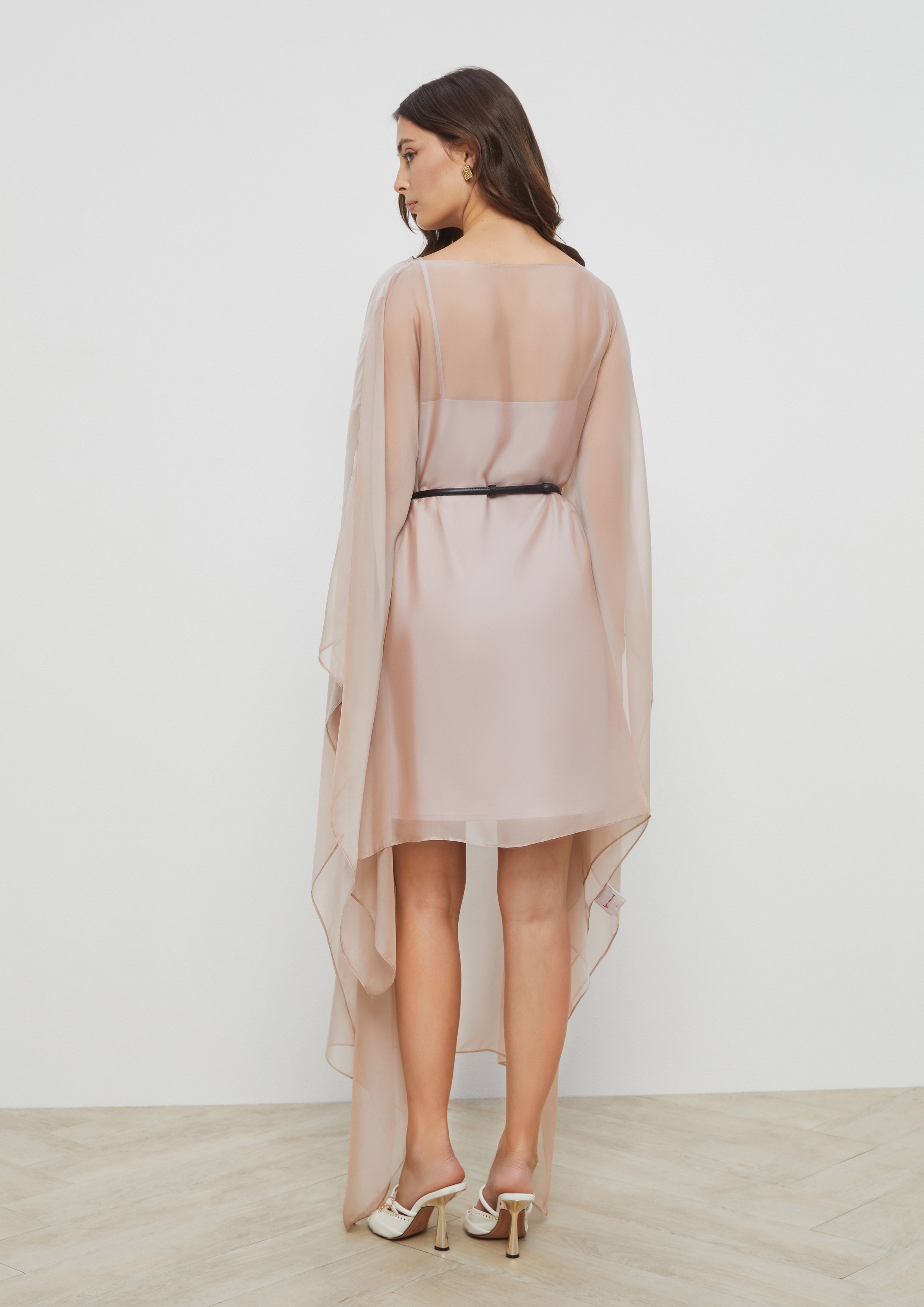 Sheer Dress With Lining Gladiator
