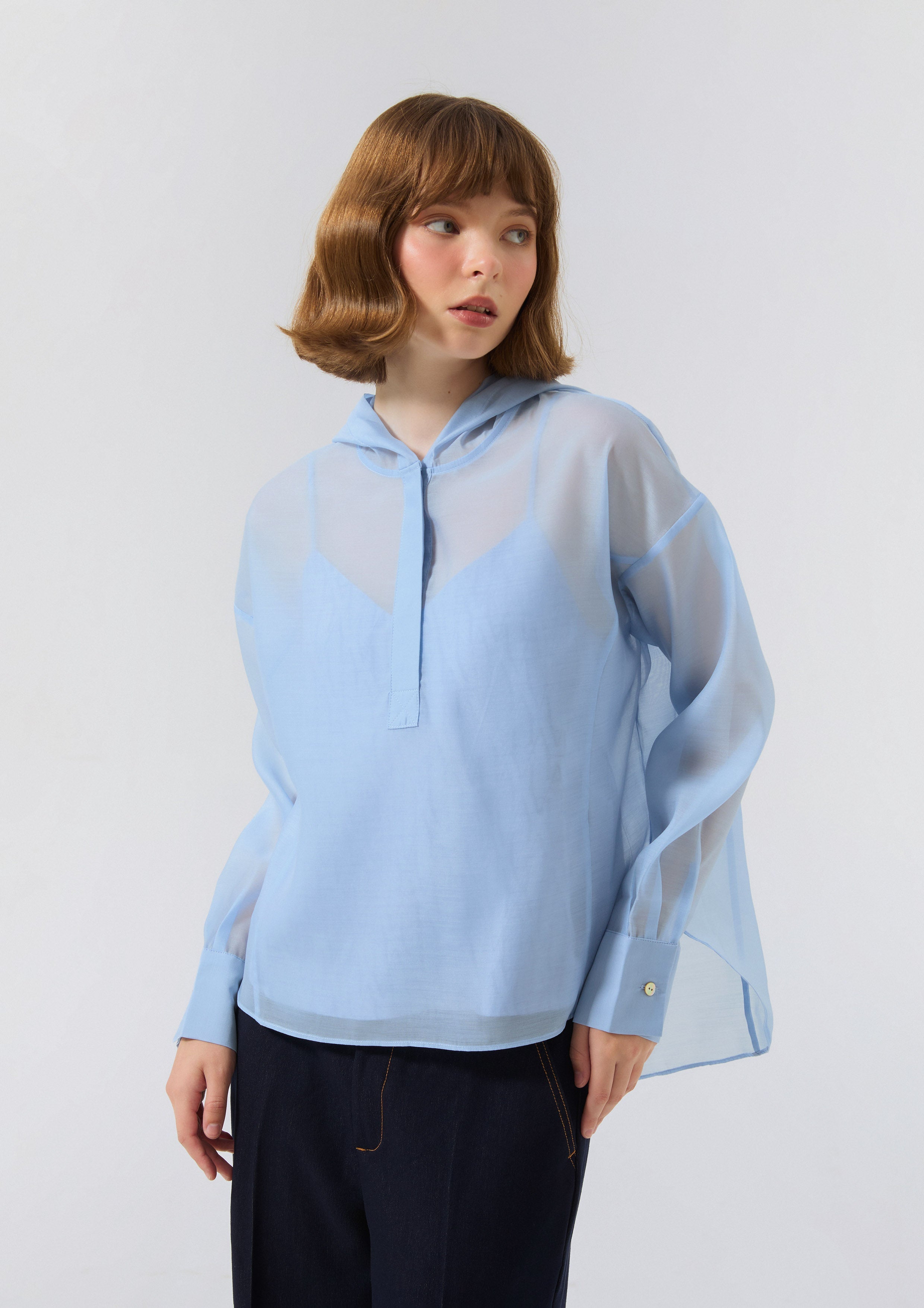Sheer Hoodie Long Sleeve Top Miracle Voyard