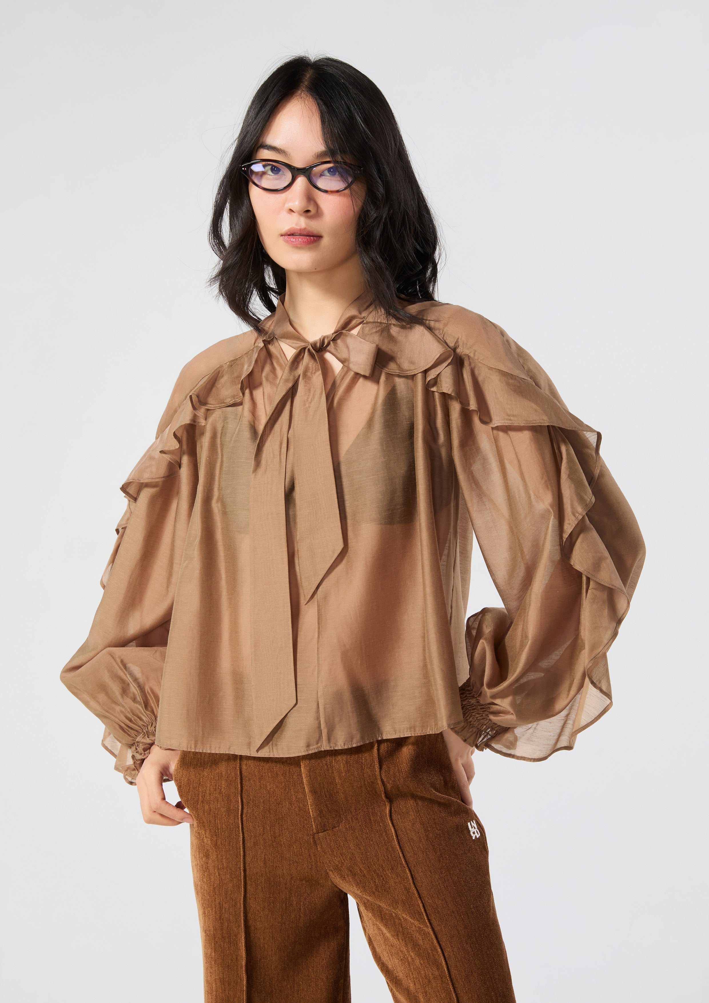 Create Your Signature Look with Sheer Bow Tie Neck Ruffle Blouse