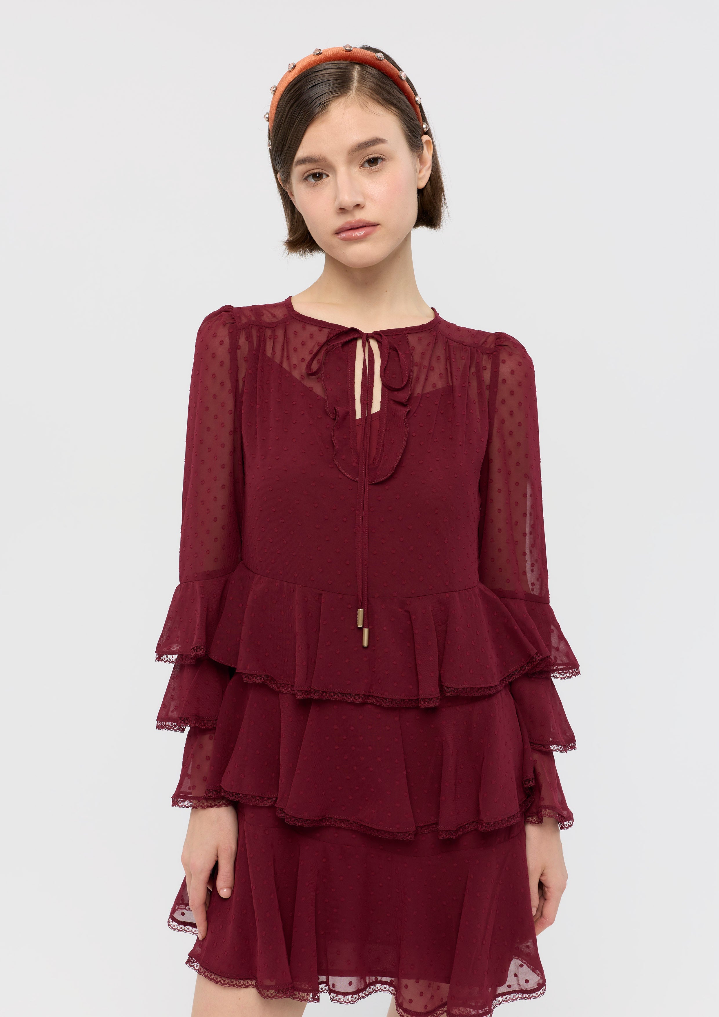 Sheer Ruffle Long Sleeve Mini Dress Garden Poetry