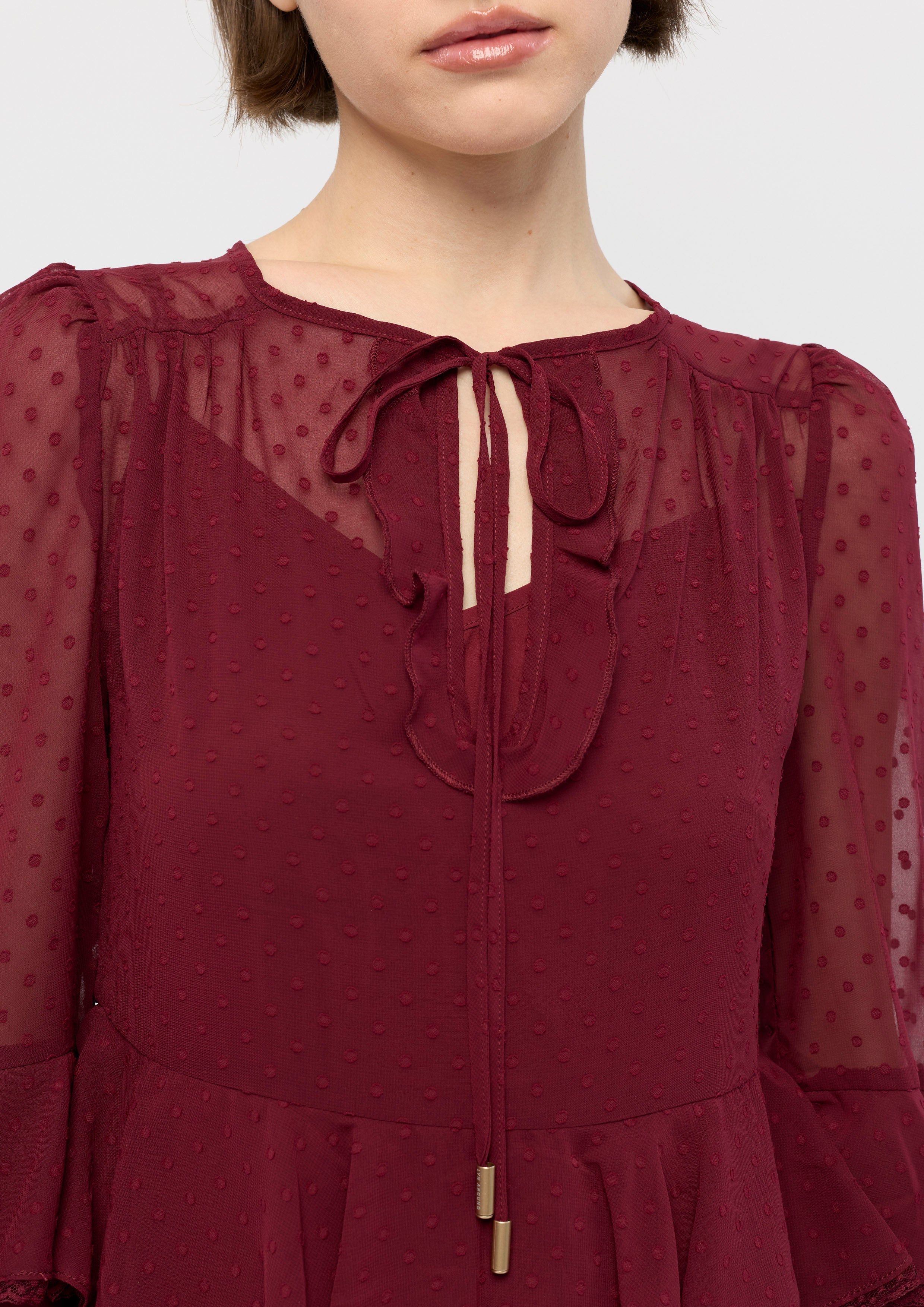 Sheer Ruffle Long Sleeve Mini Dress Garden Poetry