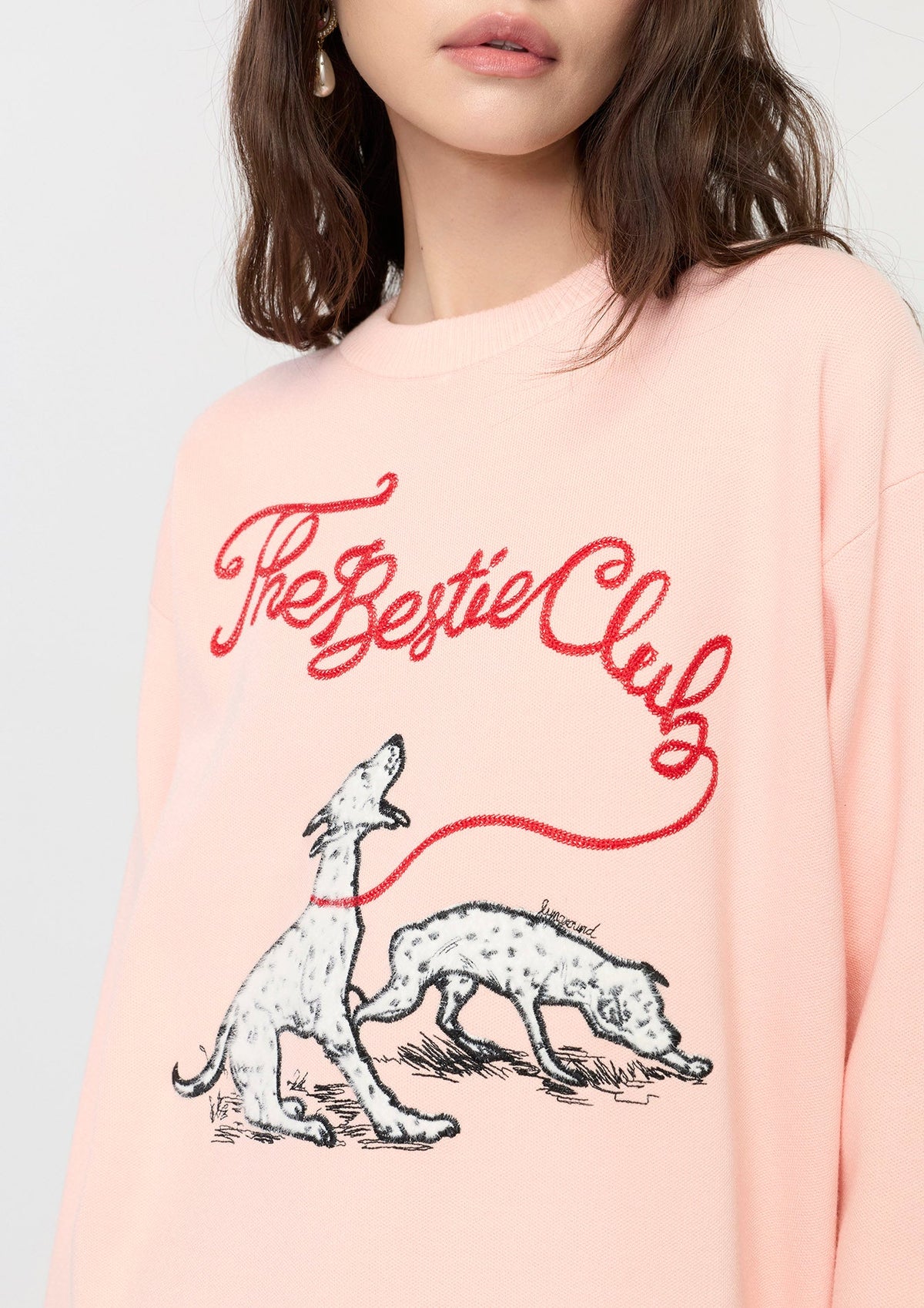 เสื้อพลูโอเวอร์คอกลมกราฟิกสุนัข คอลเลกชัน The Bestie Club